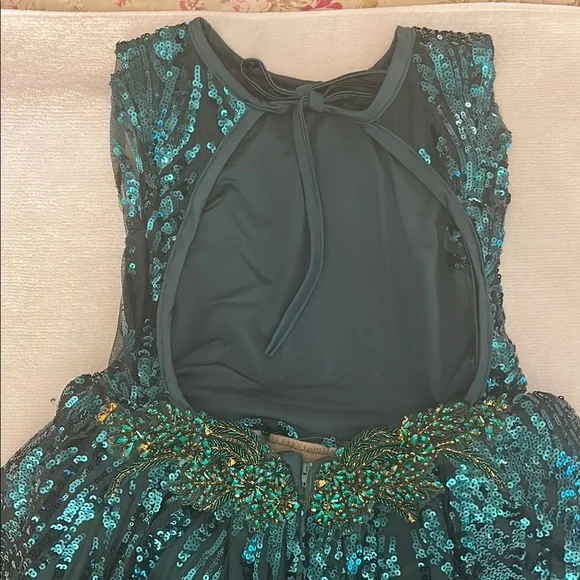 Emerald Green Sleeveless Crew Neck A-line Dress - Picture 2 of 16